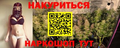 ALPHA PVP Бердск