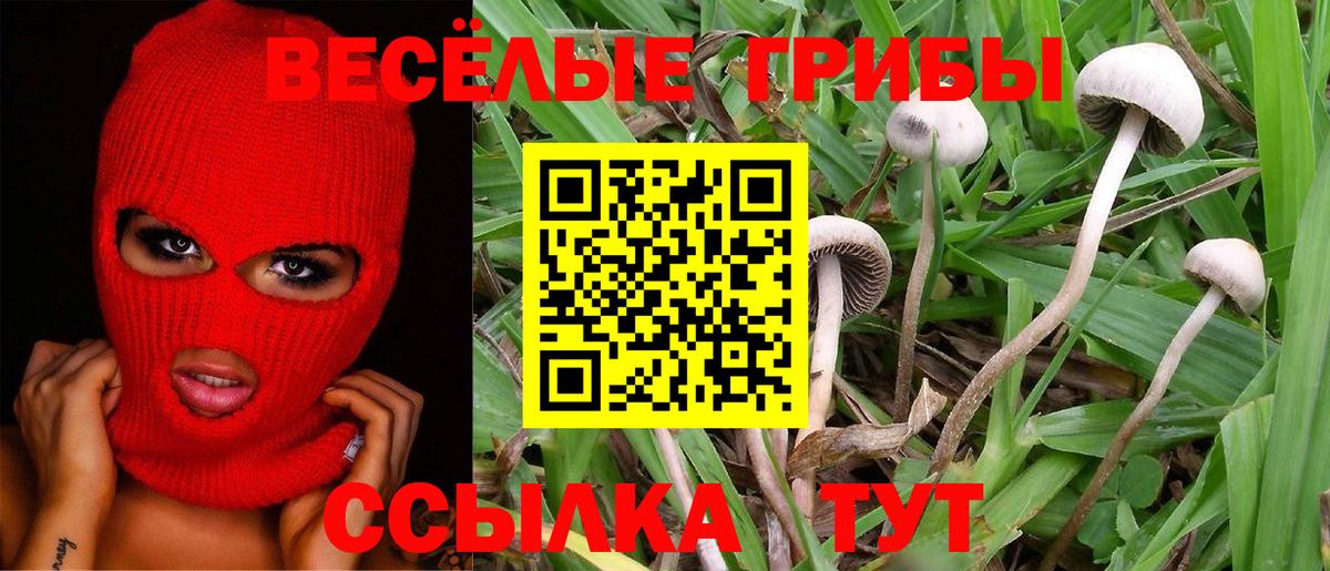 Галлюциногенные грибы Psilocybe  Псилоцибиновые грибы Cubensis  сколько стоит  Грозный  Вход с VPN 